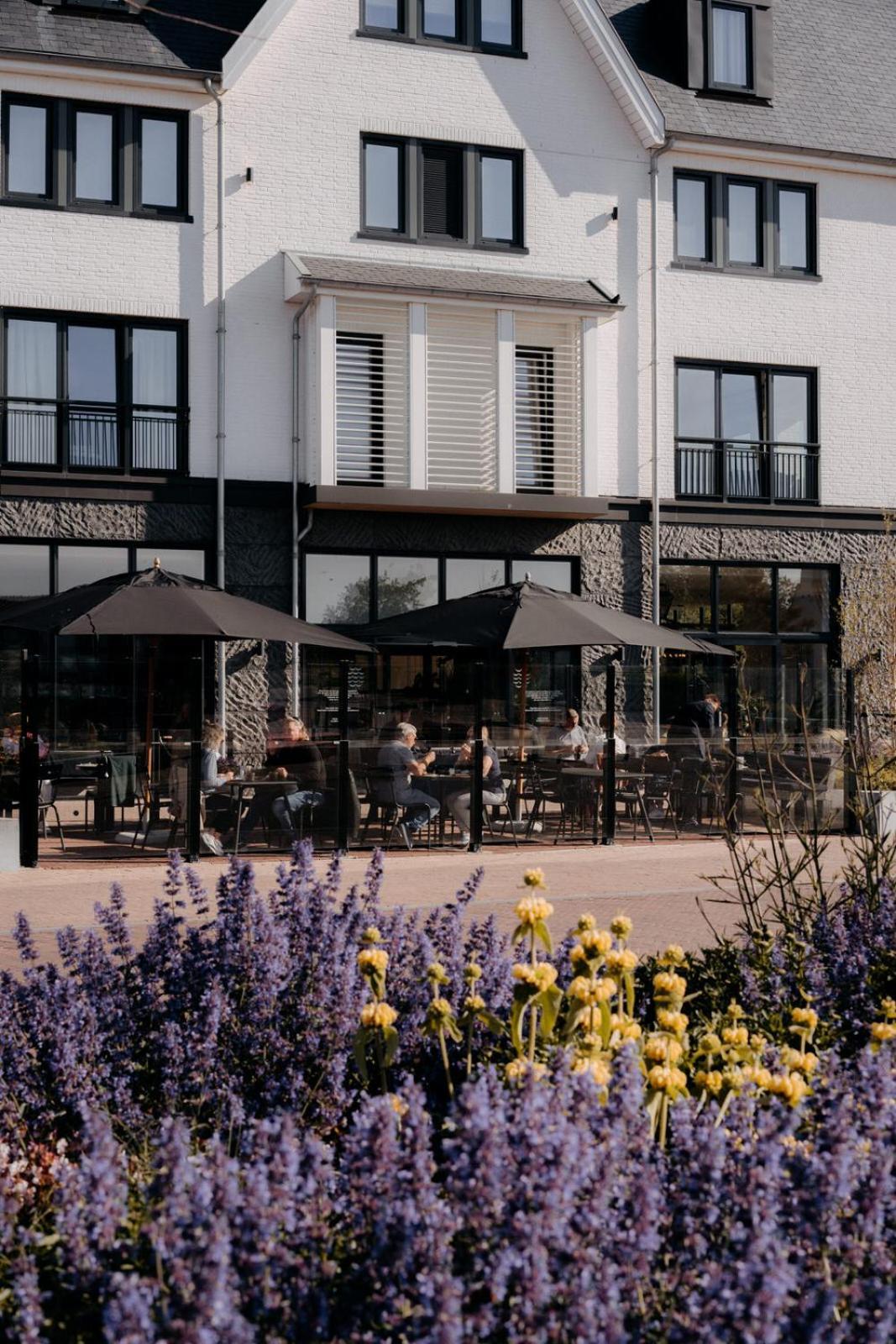 Residentie Strandhotel - Apartments With Hotel Service And Wellness Cadzand Eksteriør billede